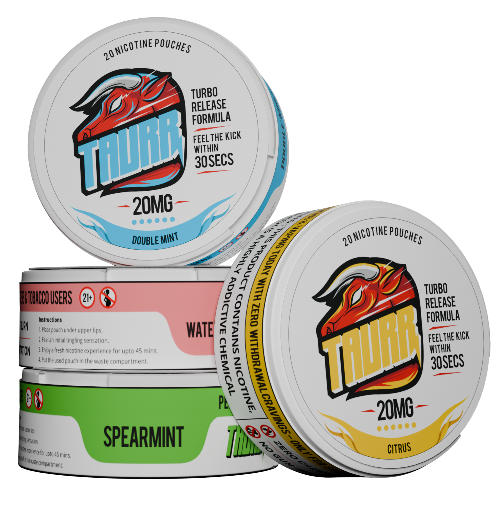 WHAT IS A NICOTINE POUCH?